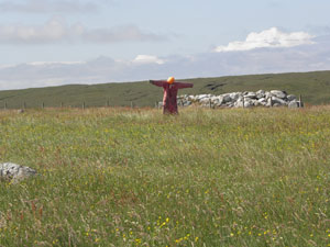 A scarecrow near Leathad a' Phuinnd on Croft 5 Brue