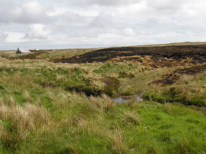 The black scar of an accidental muirburn near Criastul bridge. Nearby, an àirigh (shieling) was fortunate to be lying upwind and luckily nobody lost their peats - thanks to the efforts of the fire brigade and local help 28th May