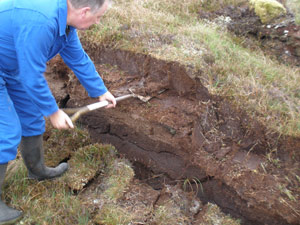 The peat process begins